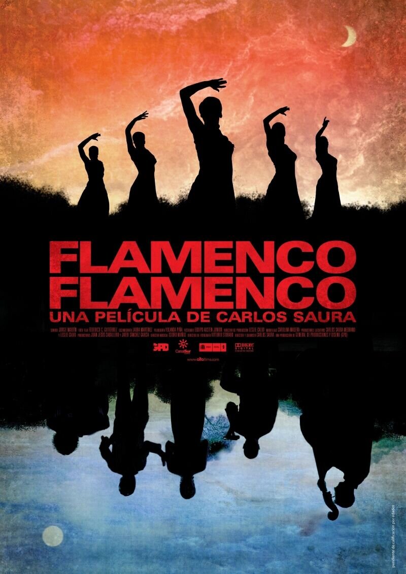 Фламенко, фламенко (2010) - постер 2