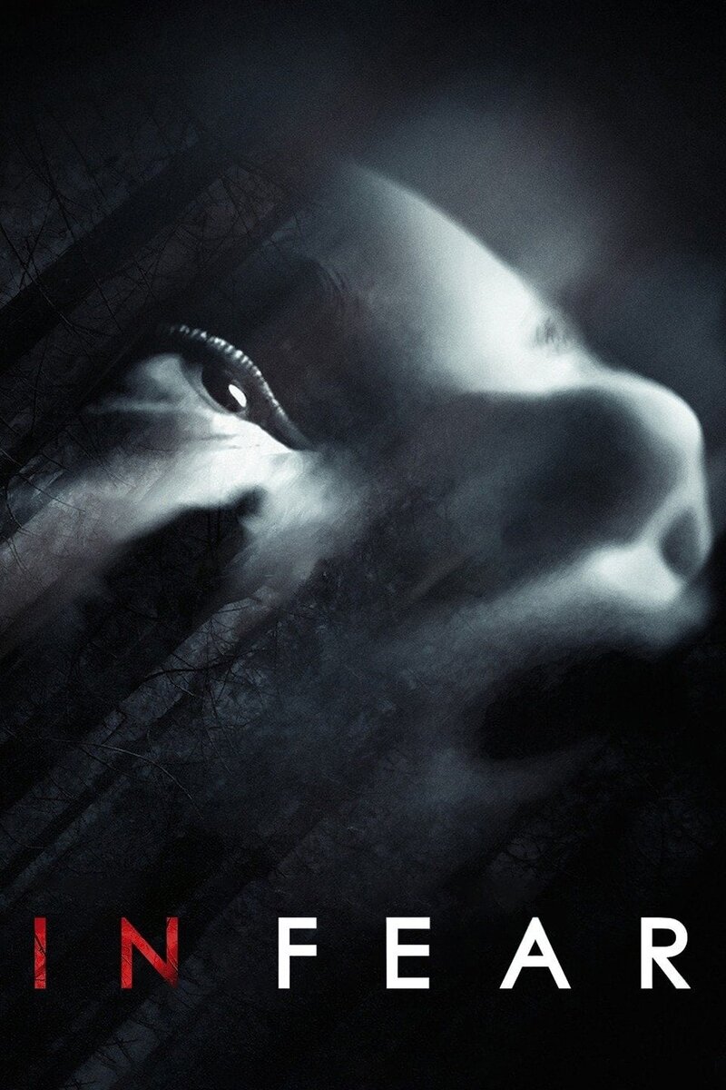 В страхе (2013) - постер 3