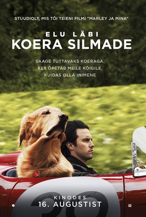 Невероятный мир глазами Энцо (2019) - постер 4