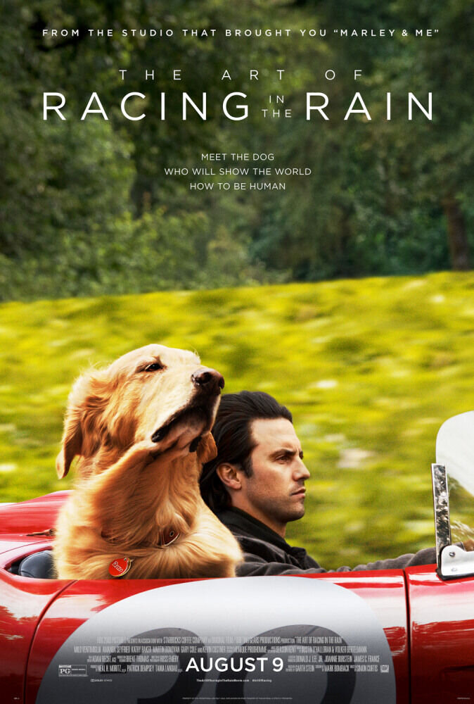 Невероятный мир глазами Энцо (2019) - постер 1