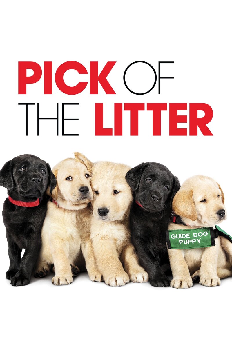 Pick of the Litter (2018) - poster 1