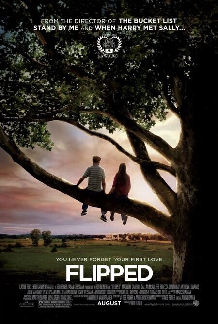 Привет, Джули! (2010) - постер 2
