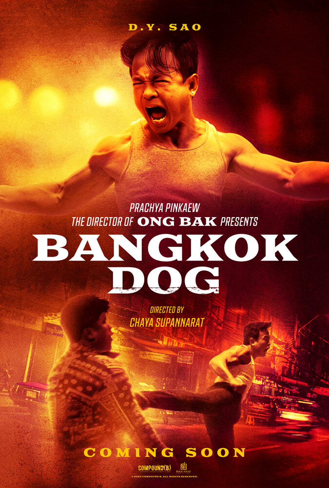Разборки в Бангкоке (2024) - постер 1