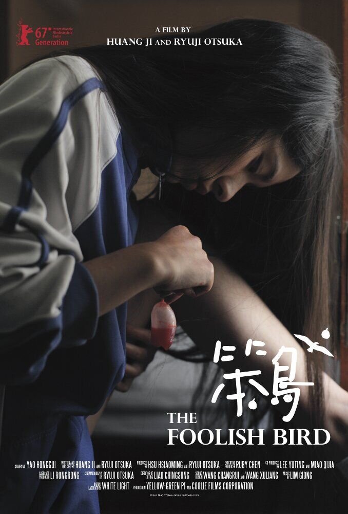 Ben Niao (2017) - poster 1