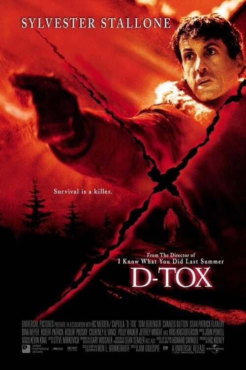 Детоксикация (2002) - постер 2