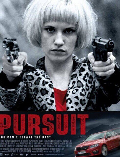 Преследование (2015) - постер 1