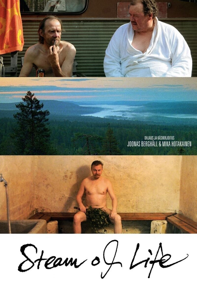 В парилке жизни (2010) - постер 2