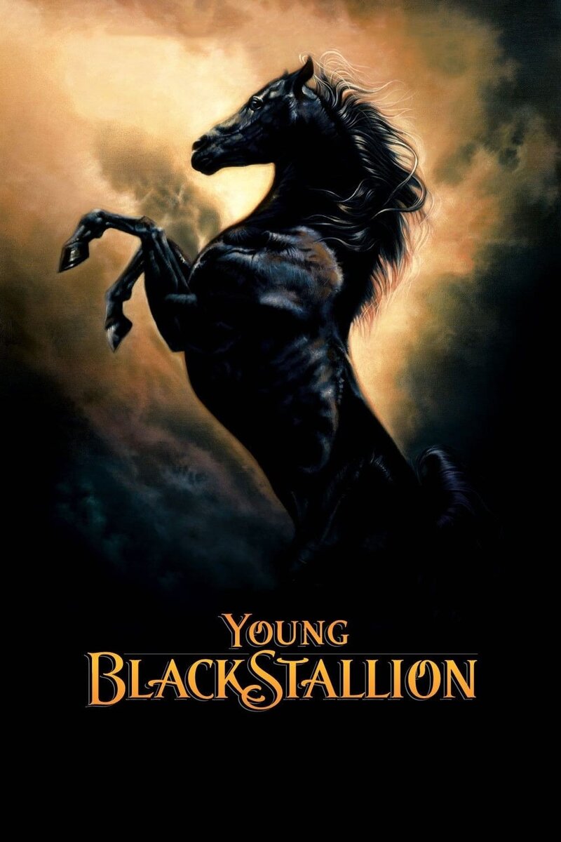 The Young Black Stallion (2003) - poster 1