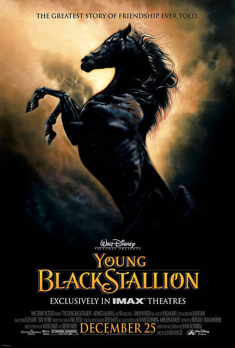 The Young Black Stallion (2003) - poster 2