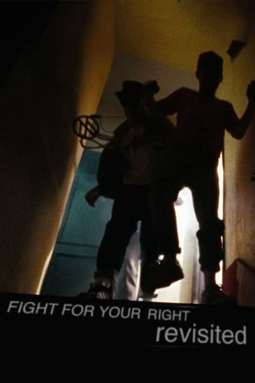 Fight for Your Right Revisited (2011) - poster 1