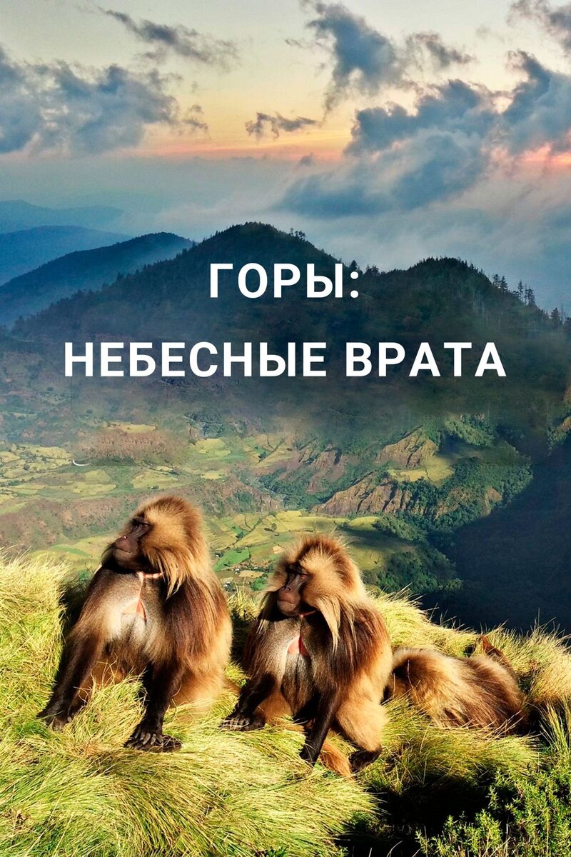 Горы: Небесные врата (2020) - постер 1