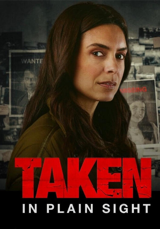 Taken in Plain Sight (2024) - poster 1
