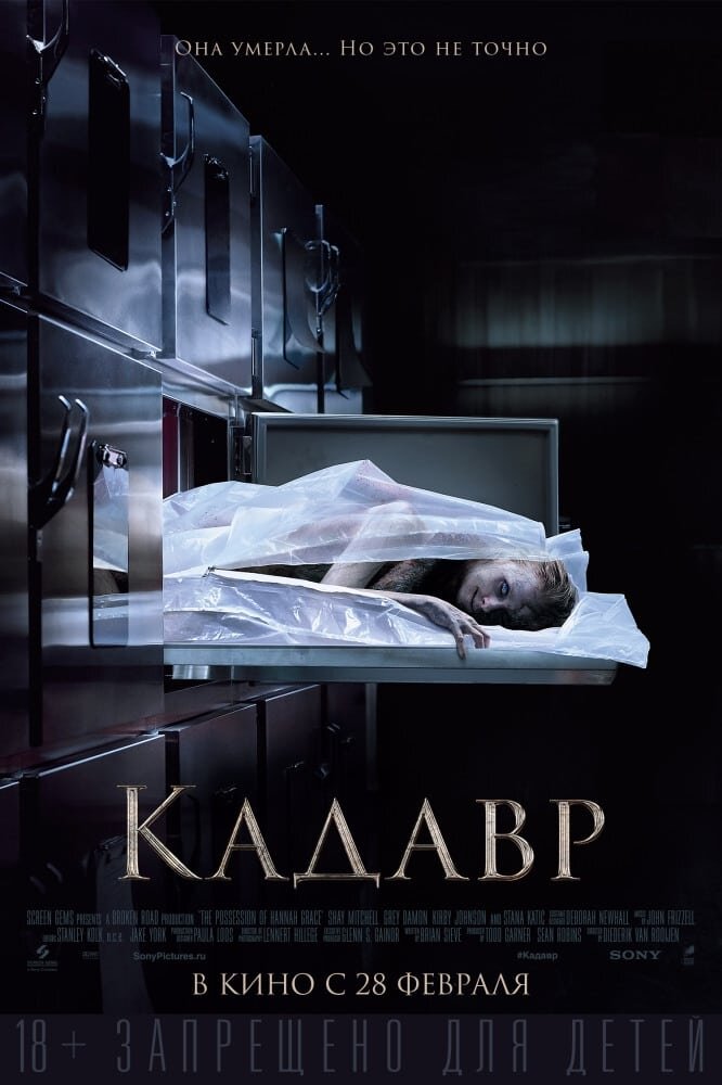 The Possession of Hannah Grace (2018) - poster 4