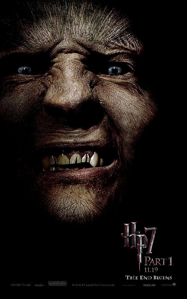 Harry Potter and the Deathly Hallows: Part 1 (2010) - poster 16