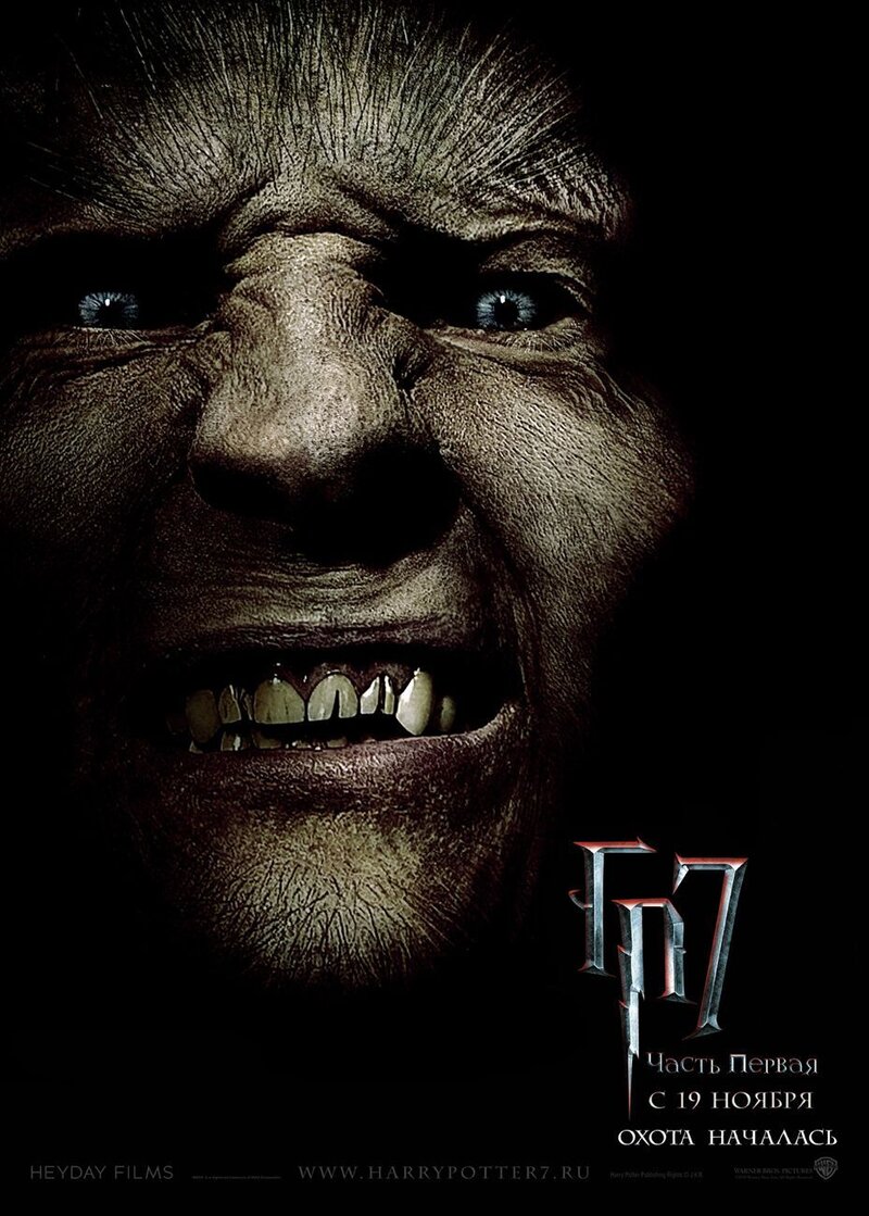 Harry Potter and the Deathly Hallows: Part 1 (2010) - poster 37
