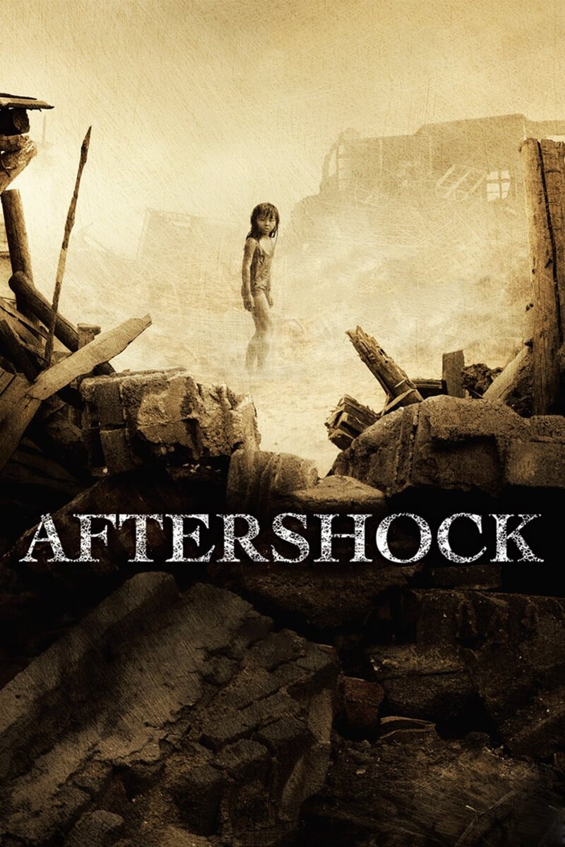 Землетрясение (2010) - постер 8