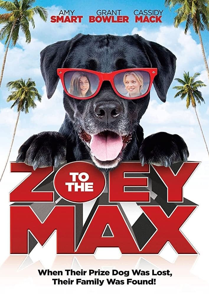Zoey to the Max (2015) - poster 1
