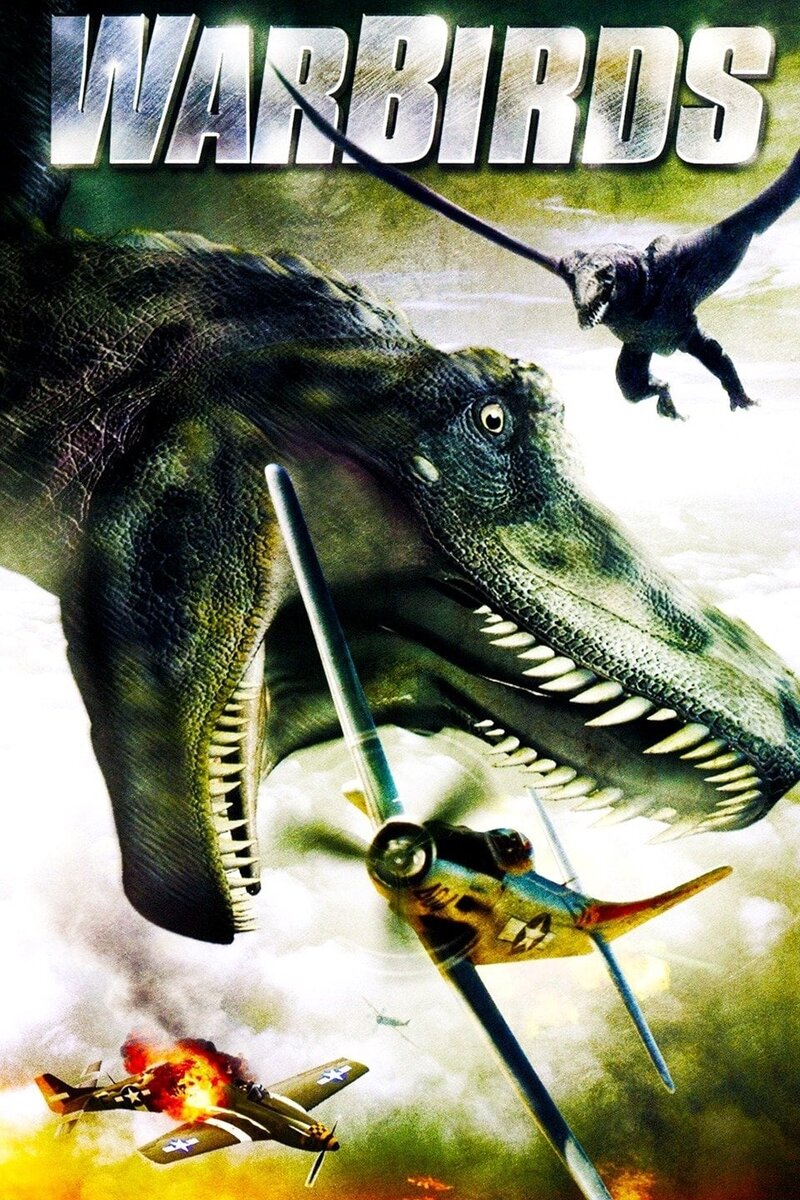 Warbirds (2008) - poster 1