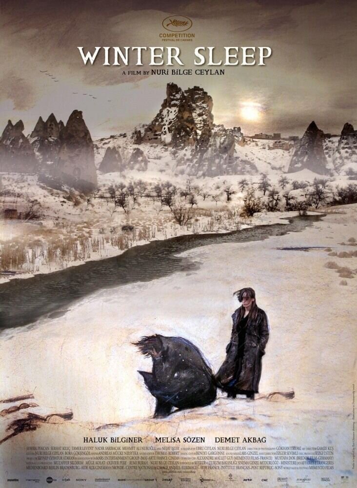 Зимняя спячка (2014) - постер 2