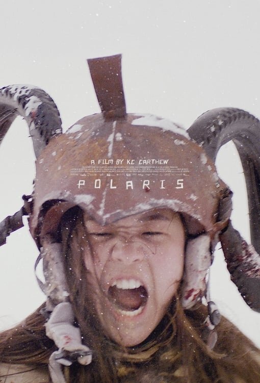 Polaris (2022) - poster 1