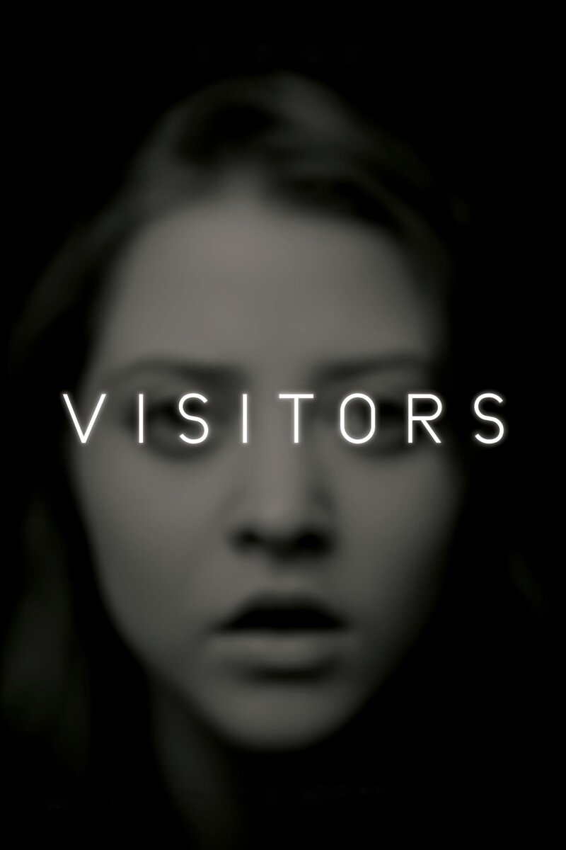 Visitors (2013) - poster 1