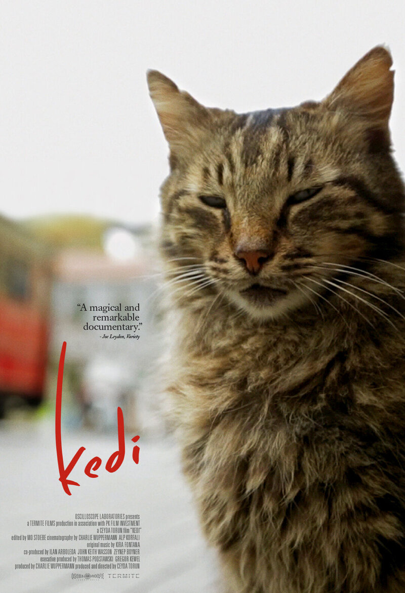Kedi (2016) - poster 3