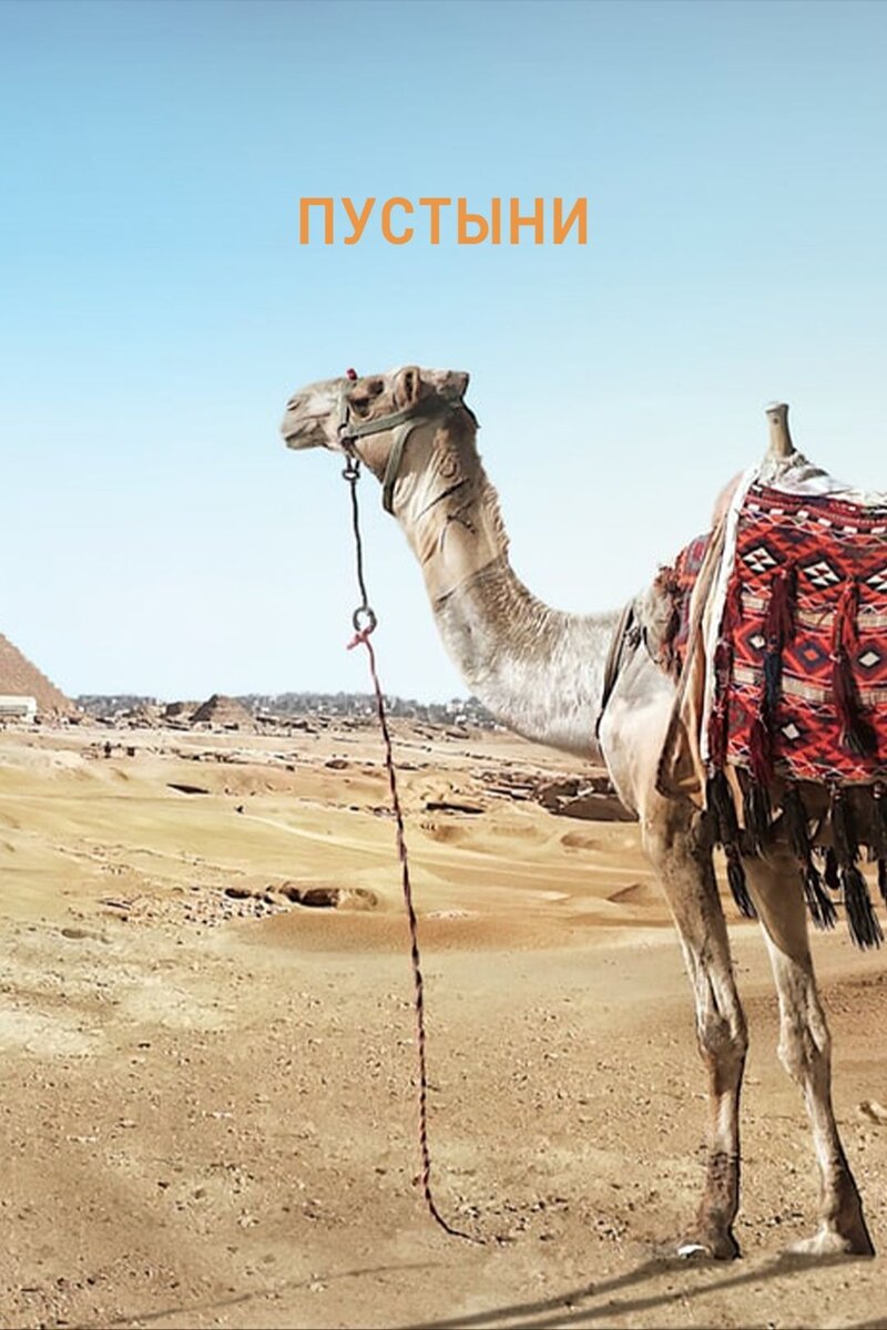 Пустыни (2021) - постер 1