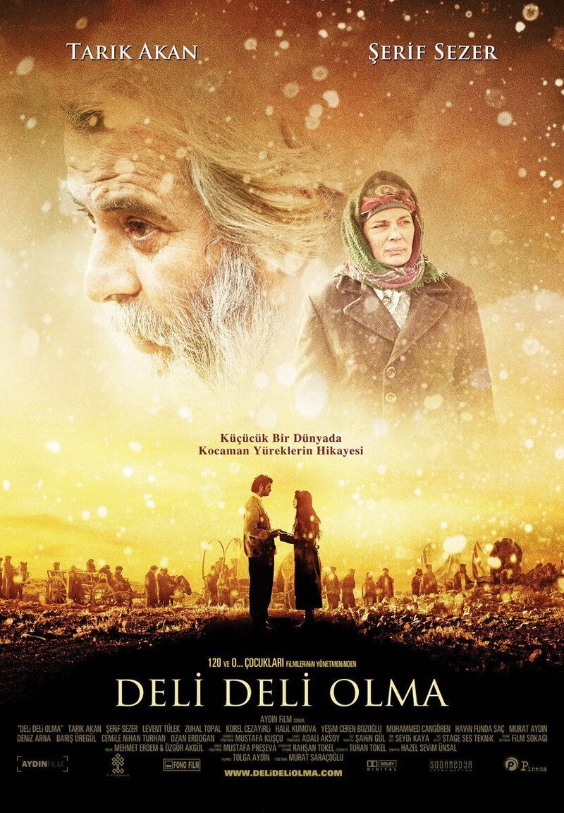 Не сходи с ума (2009) - постер 1