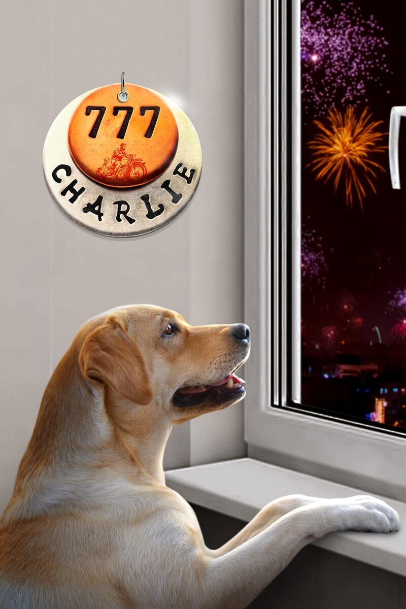 777 Charlie (2022) - poster 7
