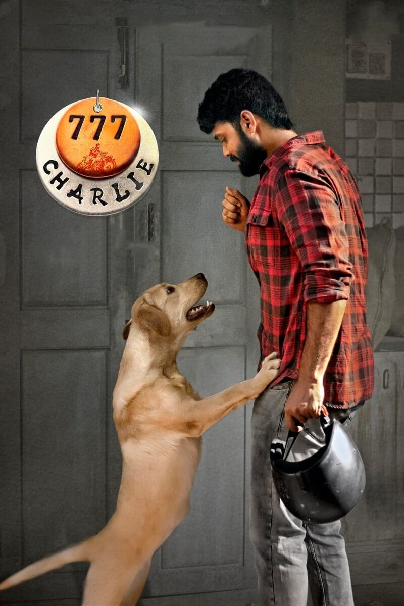 777 Charlie (2022) - poster 8
