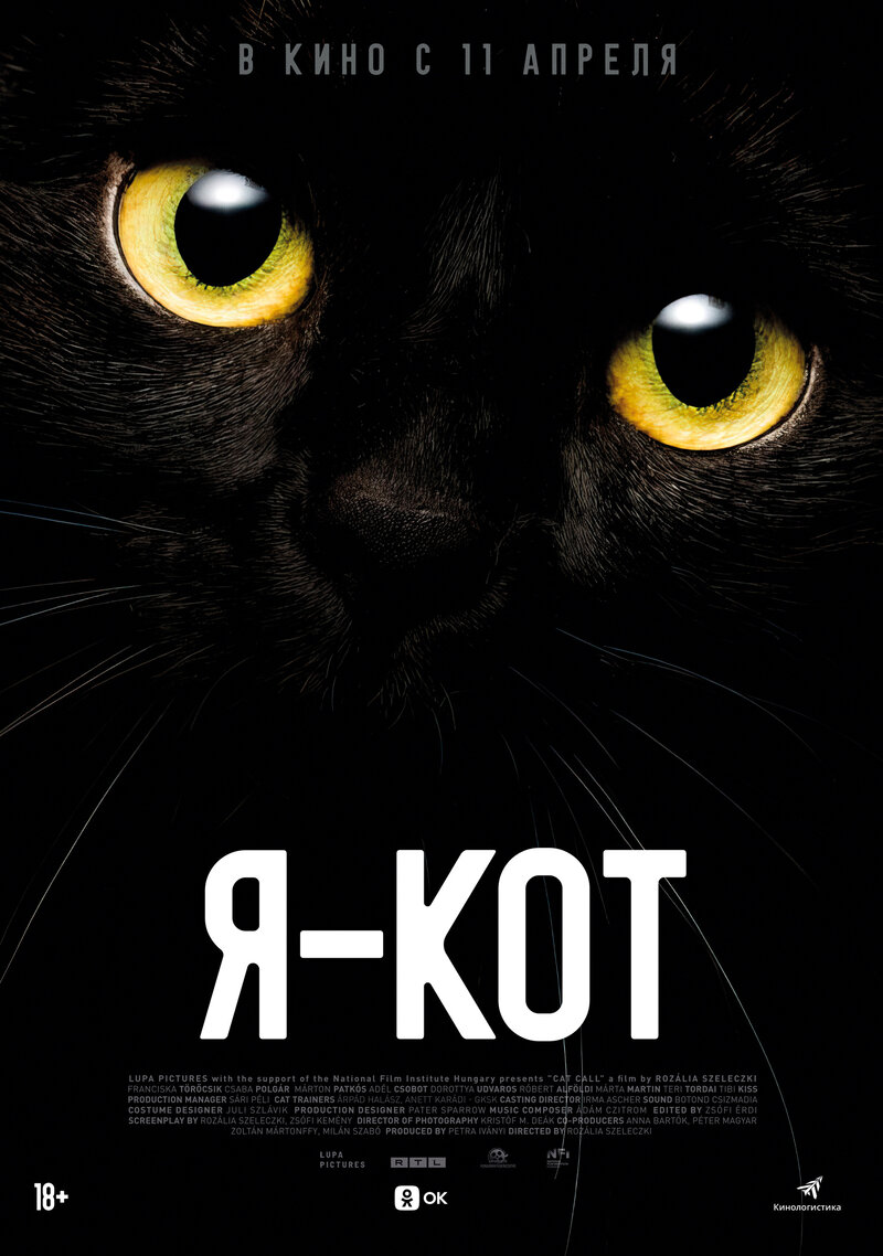 Cat Call (2023) - poster 2