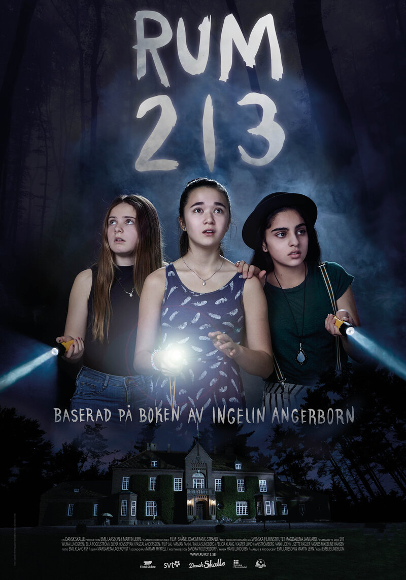 Rum 213 (2017) - poster 1