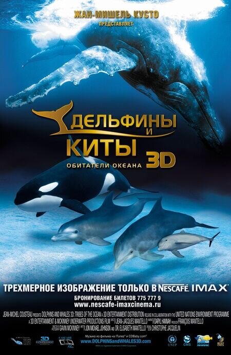 Dolphins and Whales 3D: Tribes of the Ocean (2008) - poster 2