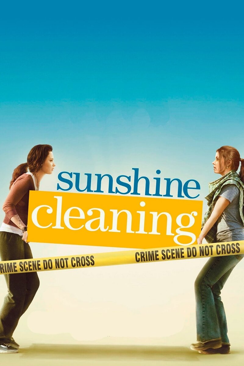 Sunshine Cleaning (2008) - poster 1