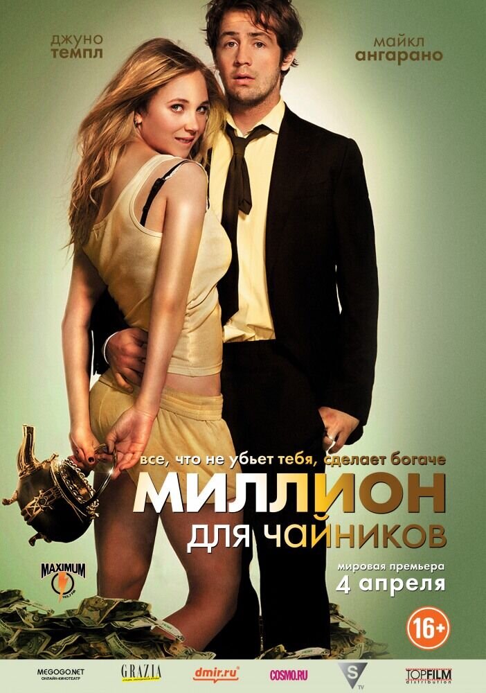 Миллион для чайников (2012) - постер 1