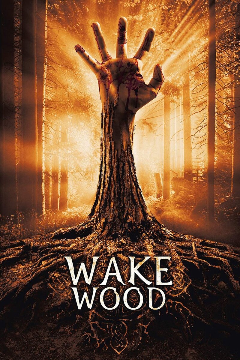 Wake Wood (2009) - poster 1