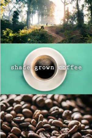 Shade Grown Coffee (2020) - poster 2