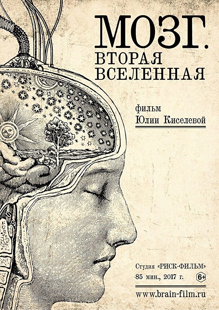 Мозг: вторая вселенная (2017) - постер 1