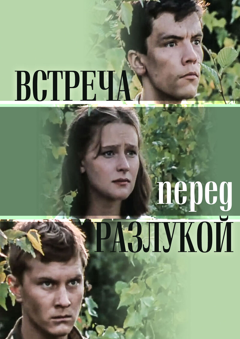 Встреча перед разлукой (1985) - постер 1