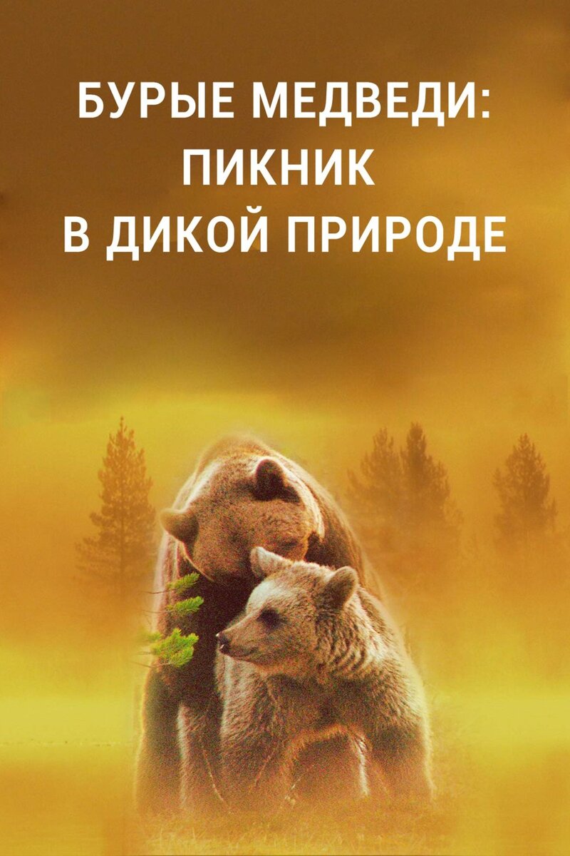 Бурые медведи: Пикник в дикой природе (2020) - постер 1