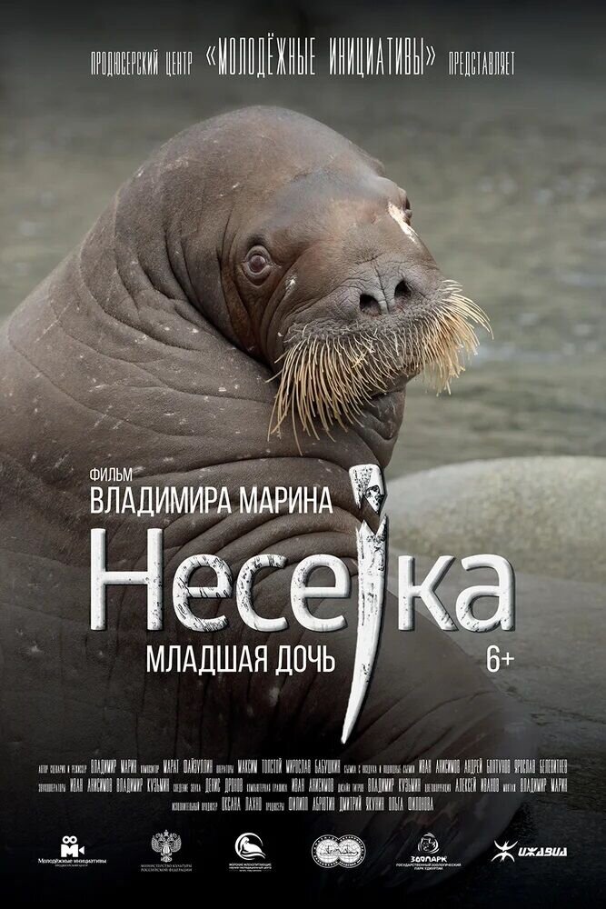 Neseyka. Mladshaya doch (2018) - poster 1