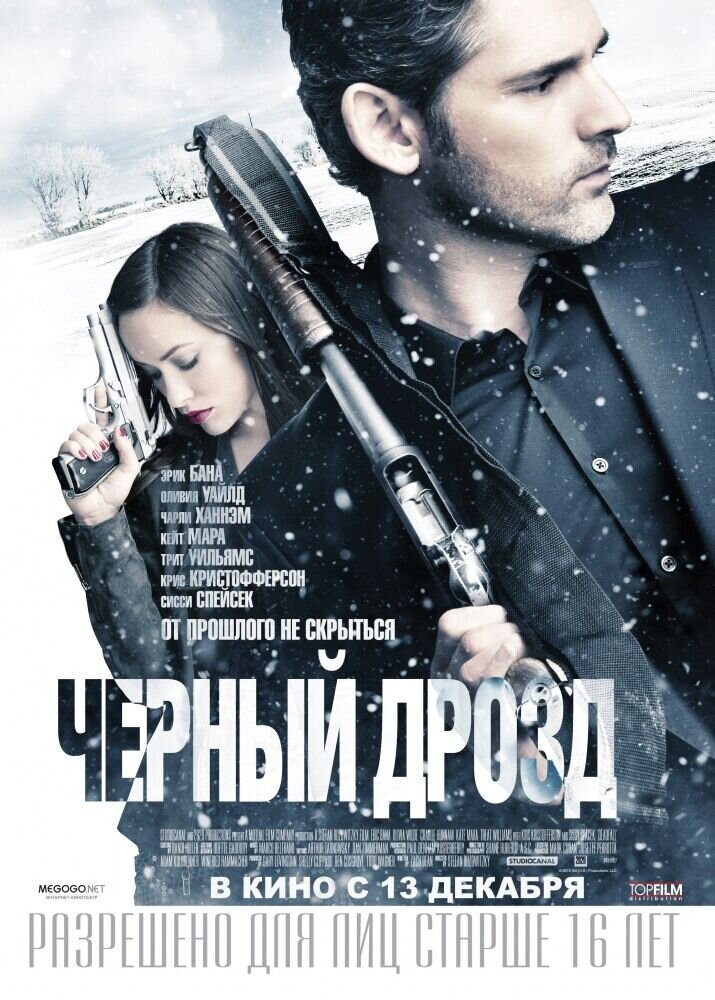 Черный дрозд (2012) - постер 2