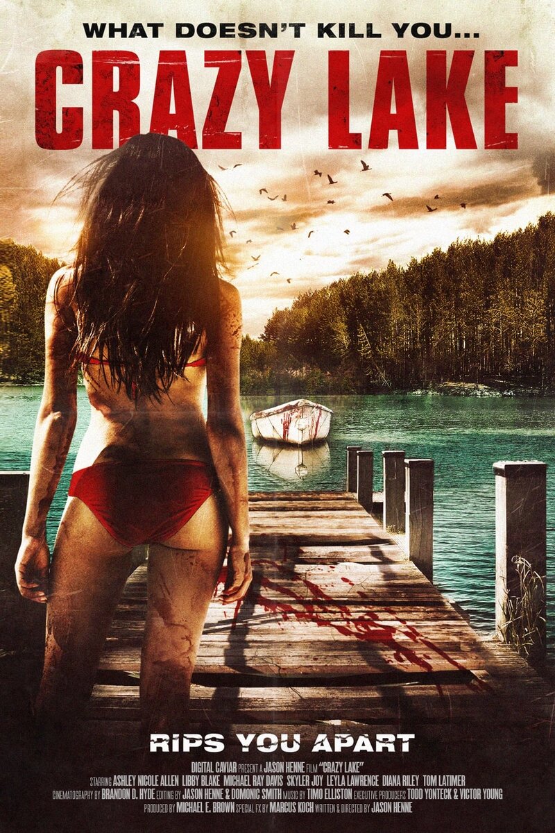 Crazy Lake (2016) - poster 1