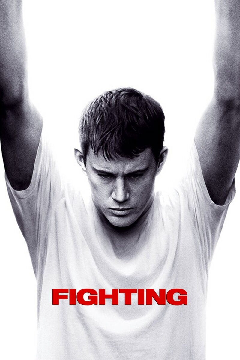 Fighting (2009) - poster 1