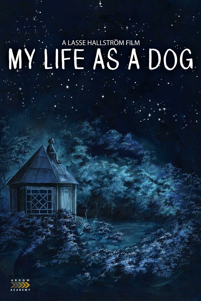 Mitt liv som hund (1985) - poster 3