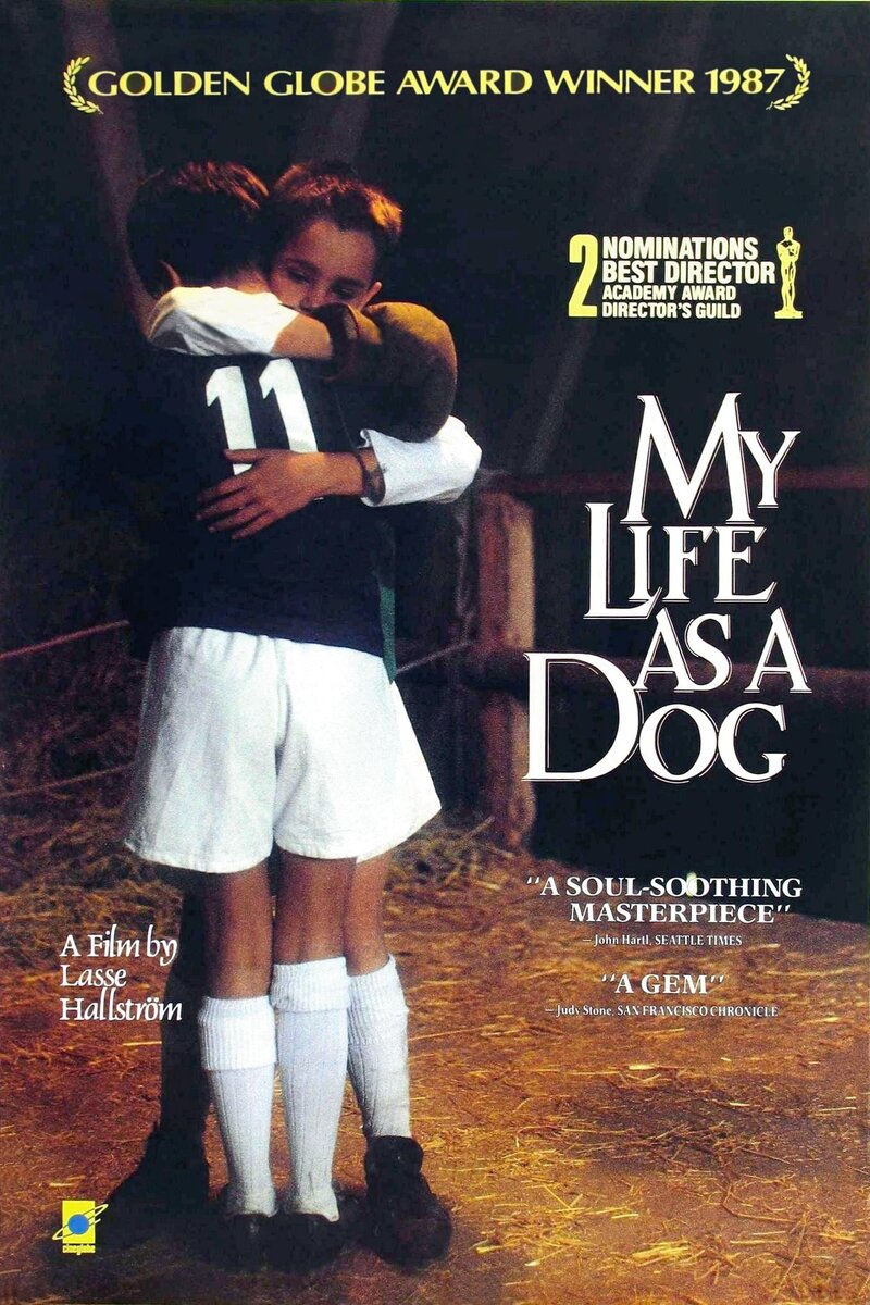 Mitt liv som hund (1985) - poster 5