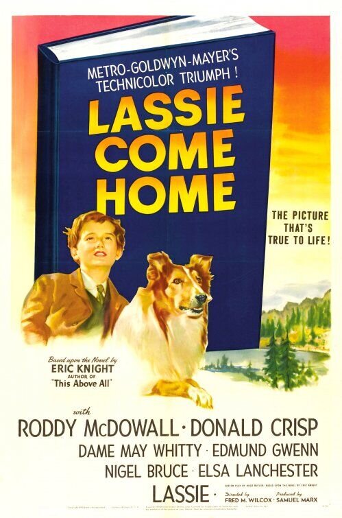 Lassie Come Home (1943) - poster 2