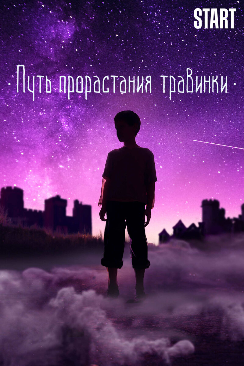 Put prorastaniya travinki (2017) - poster 1