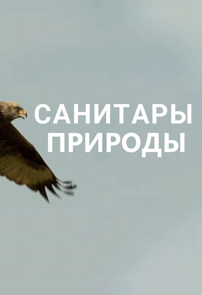 Санитары природы (2021) - постер 1