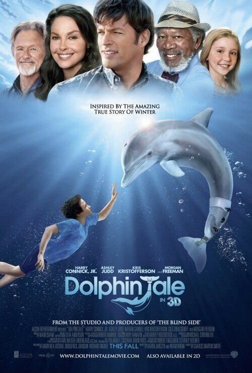 Dolphin Tale (2011) - poster 3